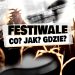 Pierwszy festiwal muzyczny? Sprawdź, jak się przygotować!